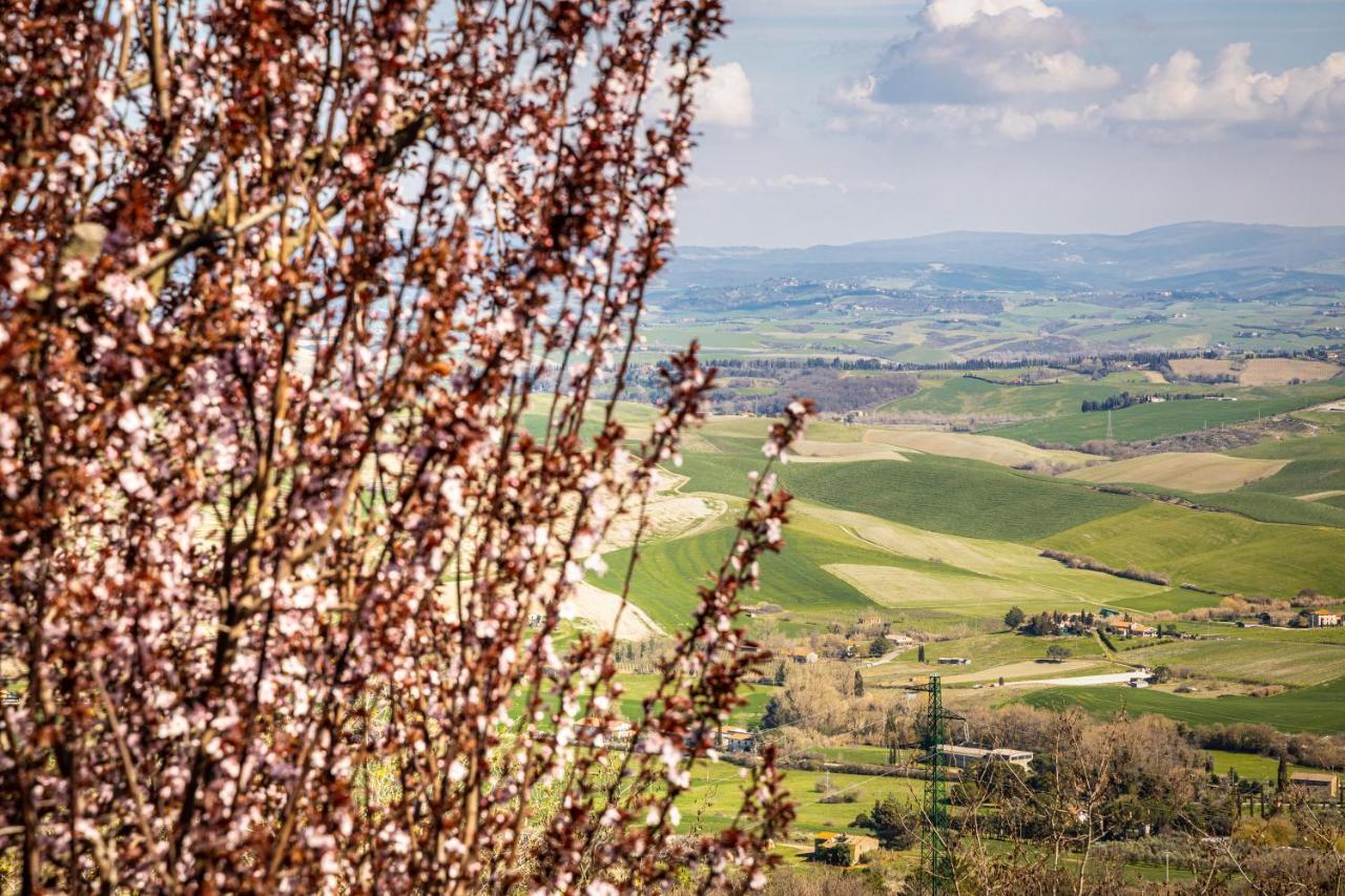 Agri Apartment La Terrazza La Ripadoro Chianni Exteriér fotografie